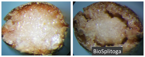 Visuaalne erinevus enne ja 60 päeva pärast BioSplitoga töötlemist.     